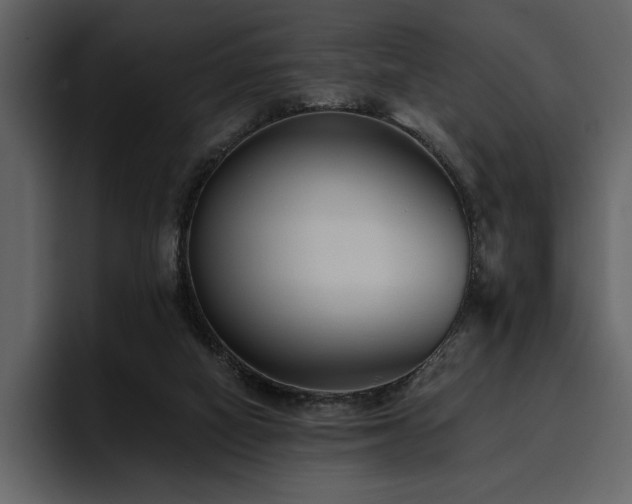 X0000095930066200801111303