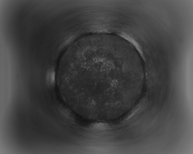 X0000095930067200801111303