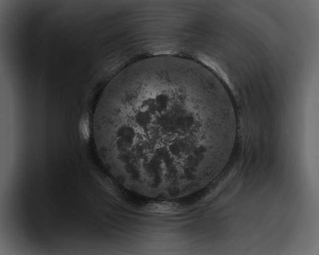 X0000095930069200801111303
