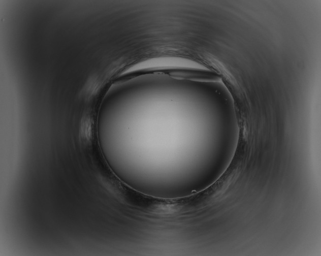 X0000095930071200801111303