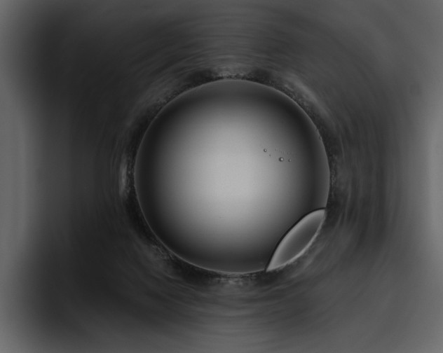 X0000095930074200801111303