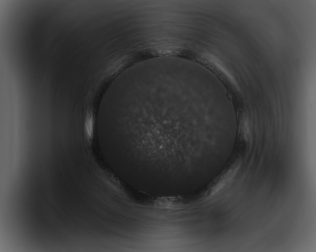 X0000095930076200801111303
