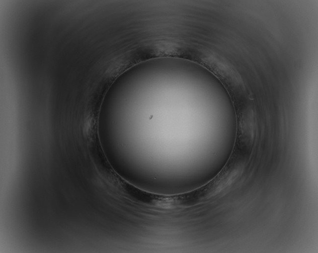 X0000095930079200801111303
