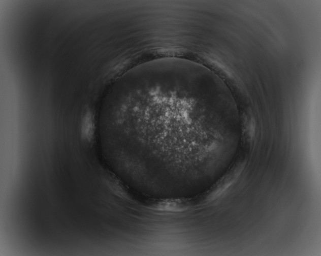 X0000095930080200801111303