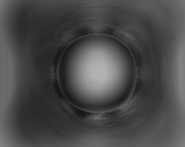 X0000095930086200801111303