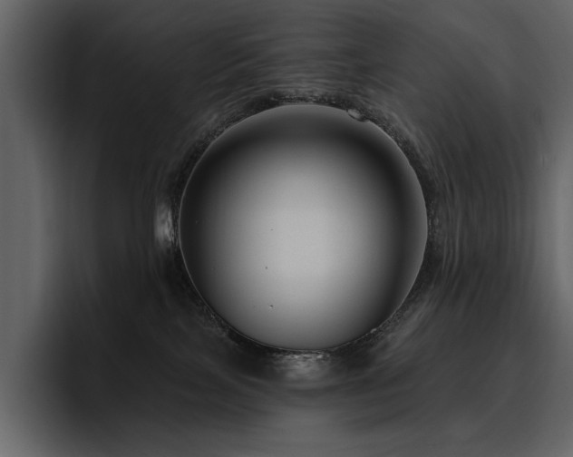 X0000095930089200801111303