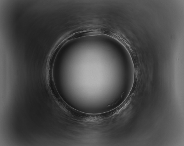 X0000095930101200801111303