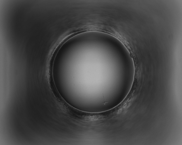 X0000095930103200801111303