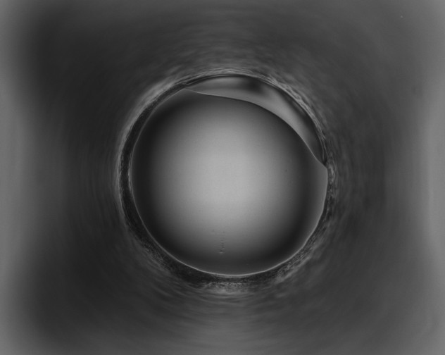 X0000095930104200801111303