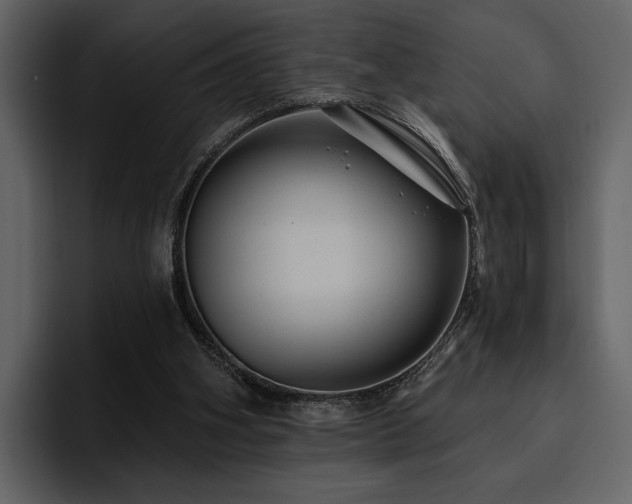 X0000095930106200801111303