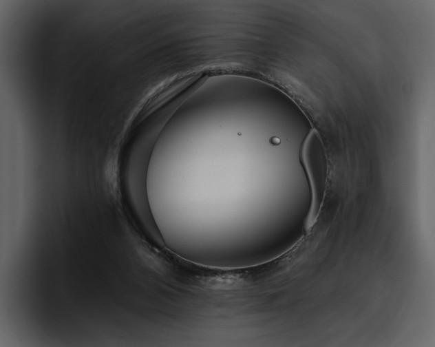 X0000095930112200801111303