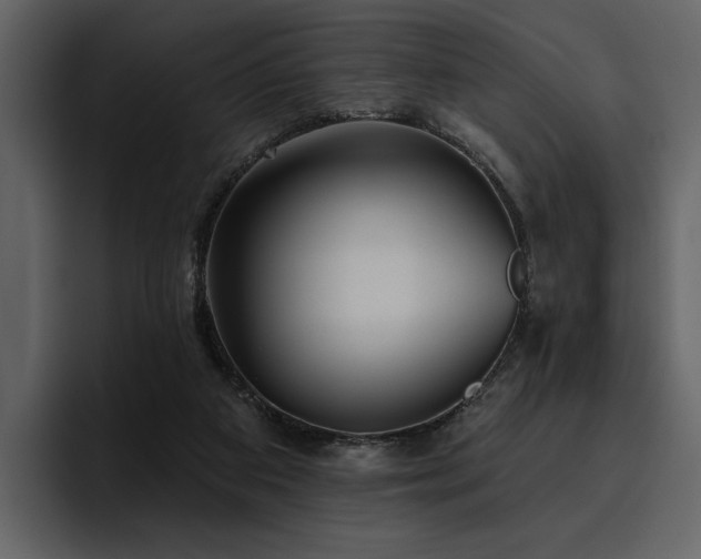 X0000095930113200801111303