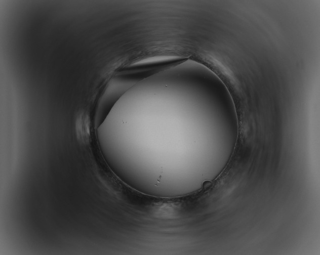 X0000095930115200801111303
