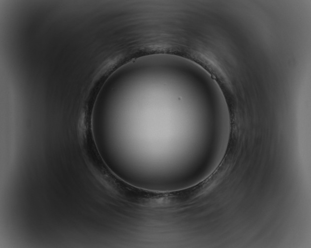 X0000095930116200801111303