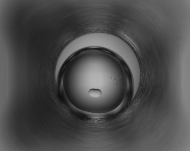 X0000095930117200801111303
