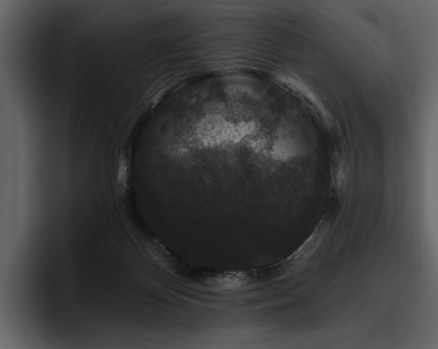 X0000095930124200801111303