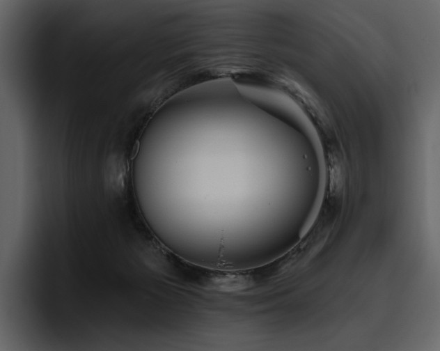 X0000095930125200801111303