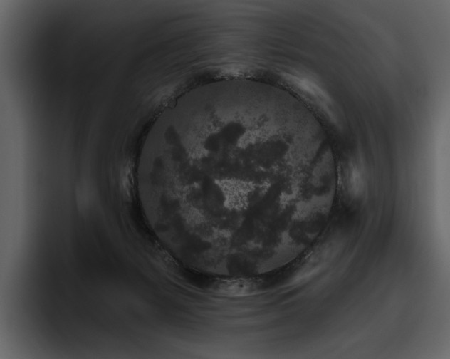 X0000095930127200801111303