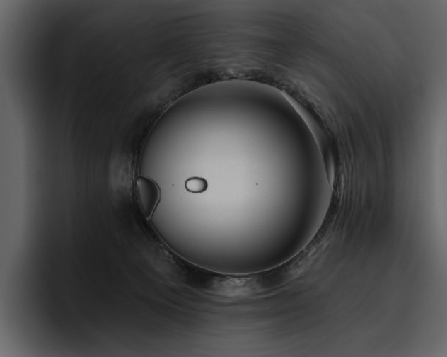X0000095930129200801111303