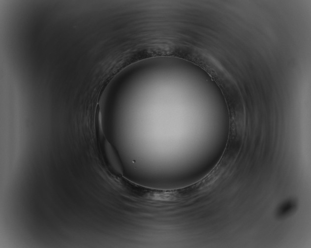 X0000095930134200801111302