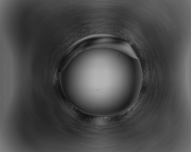 X0000095930136200801111302