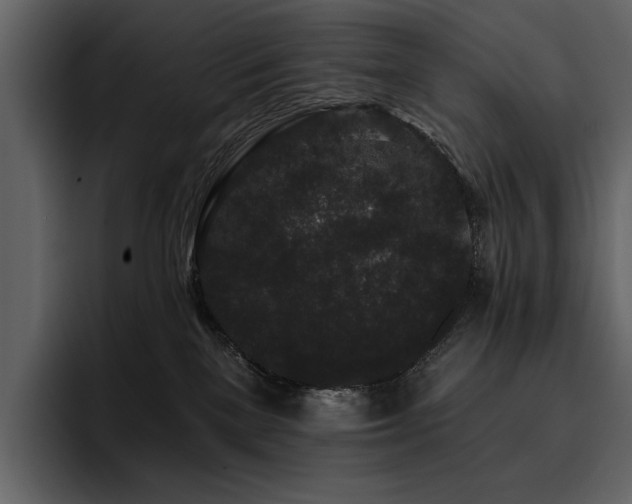 X0000095930137200801111302