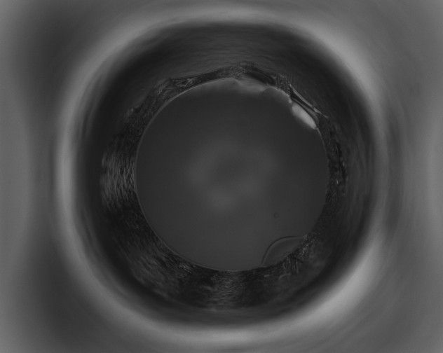 X0000095930143200801111302