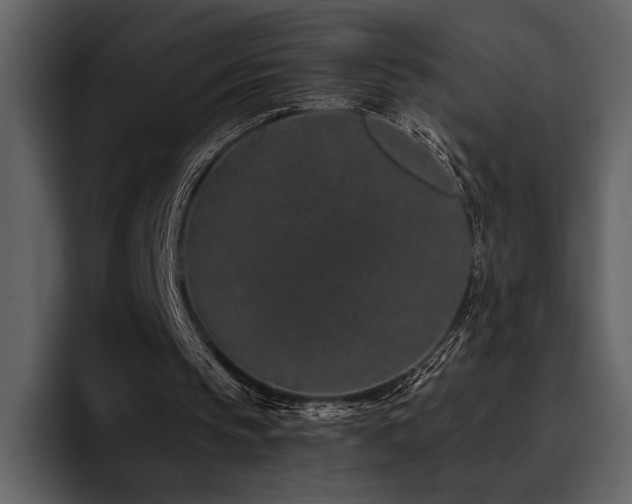 X0000095930145200801111302