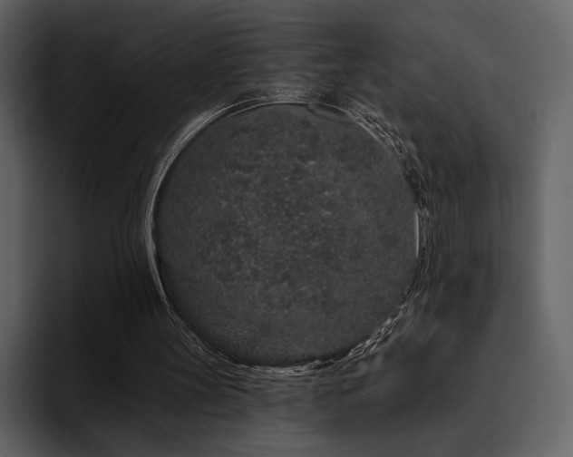 X0000095930147200801111302