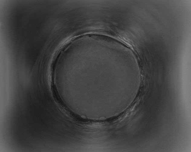 X0000095930149200801111302