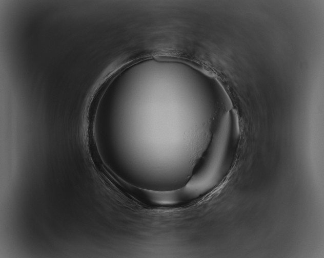 X0000095930150200801111302