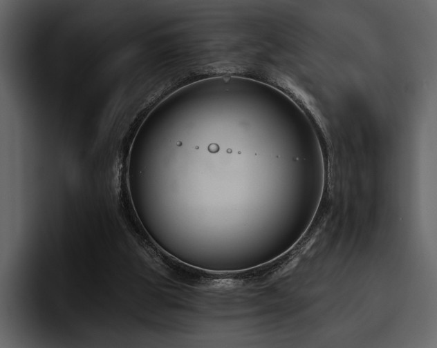 X0000095930153200801111302