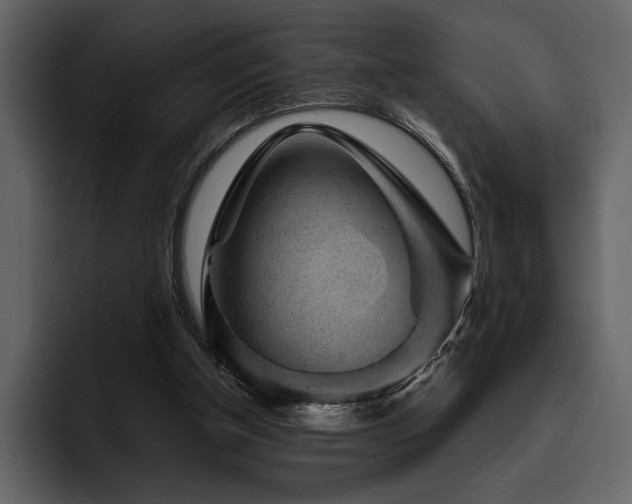 X0000095930154200801111302