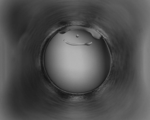 X0000095930155200801111302