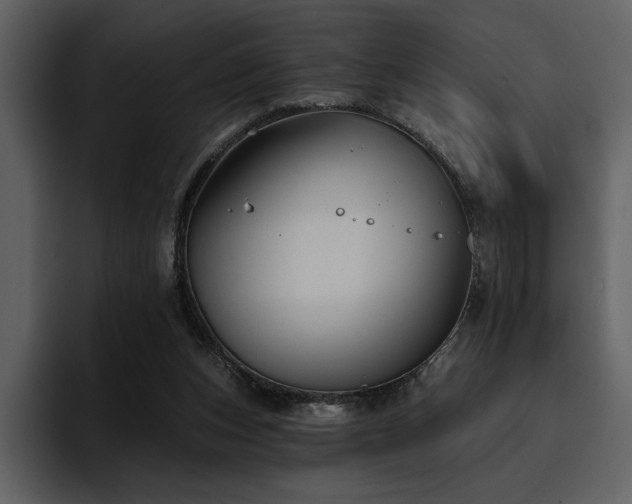 X0000095930159200801111302