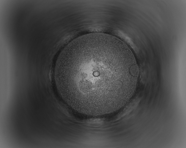 X0000095930161200801111302