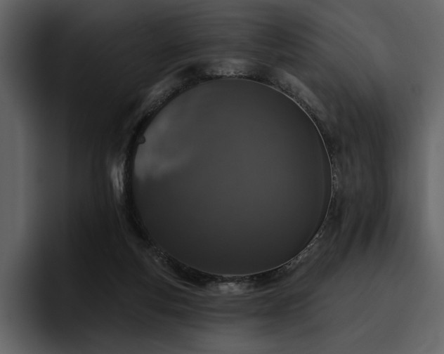 X0000095930163200801111302