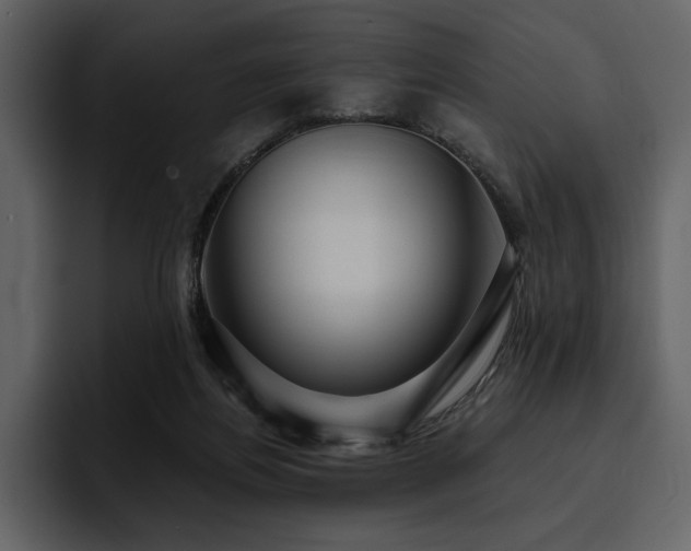 X0000095930164200801111302