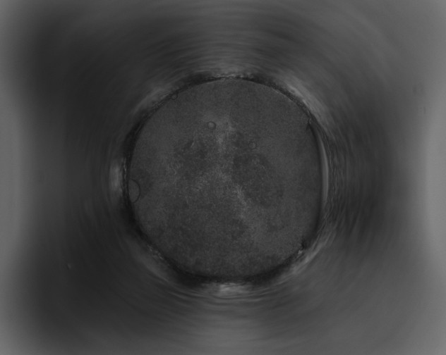 X0000095930165200801111302