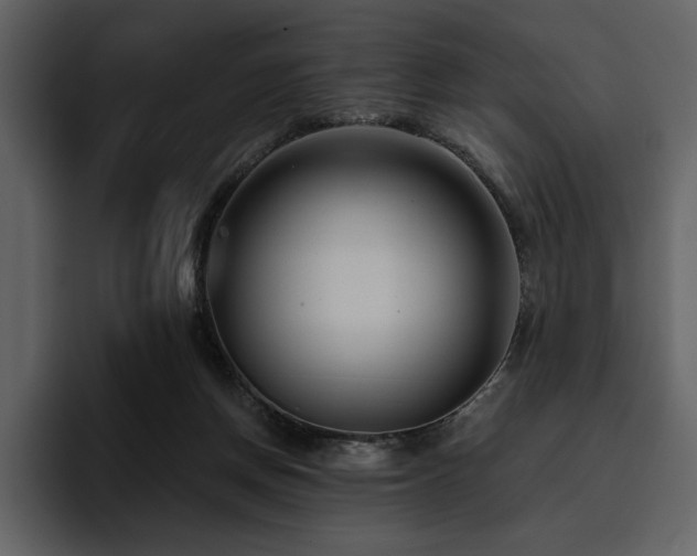 X0000095930166200801111302