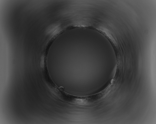 X0000095930167200801111302