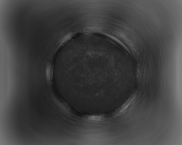 X0000095930168200801111302