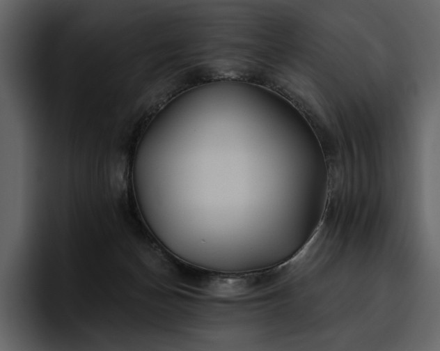 X0000095930174200801111302