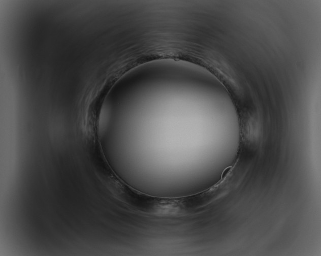 X0000095930175200801111302