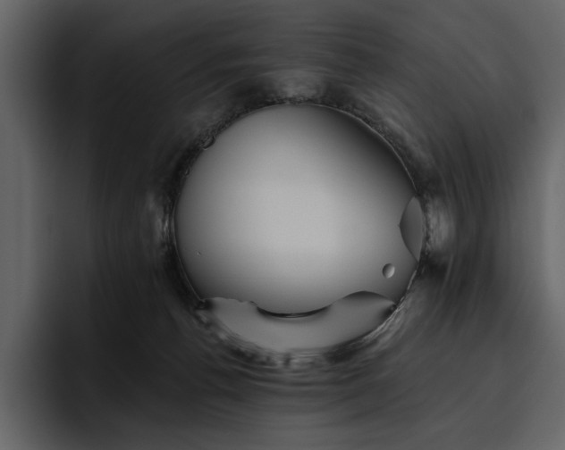 X0000095930176200801111302