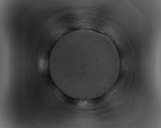 X0000095930177200801111302