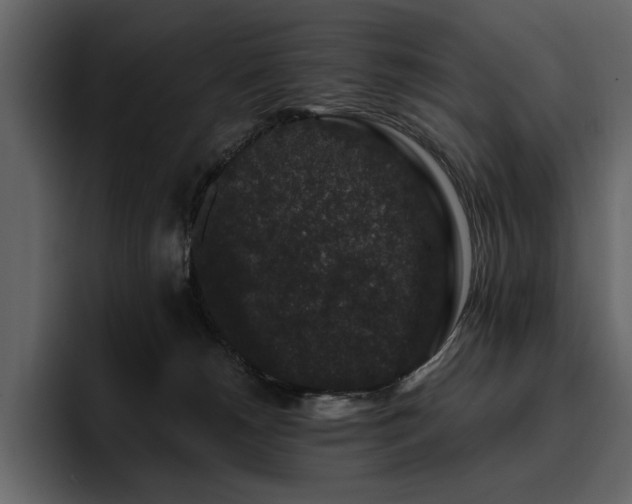 X0000095930180200801111302