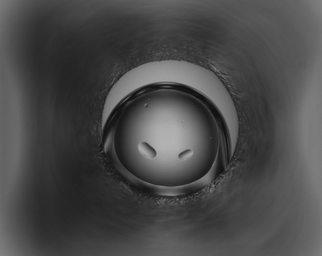X0000095930192200801111302