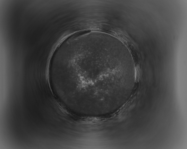 X0000095930195200801111302