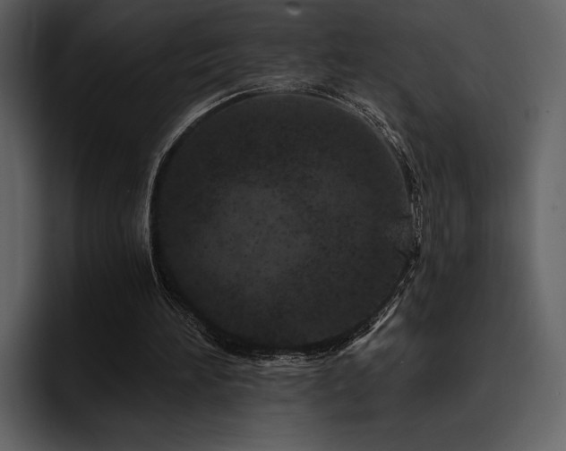 X0000095930196200801111302